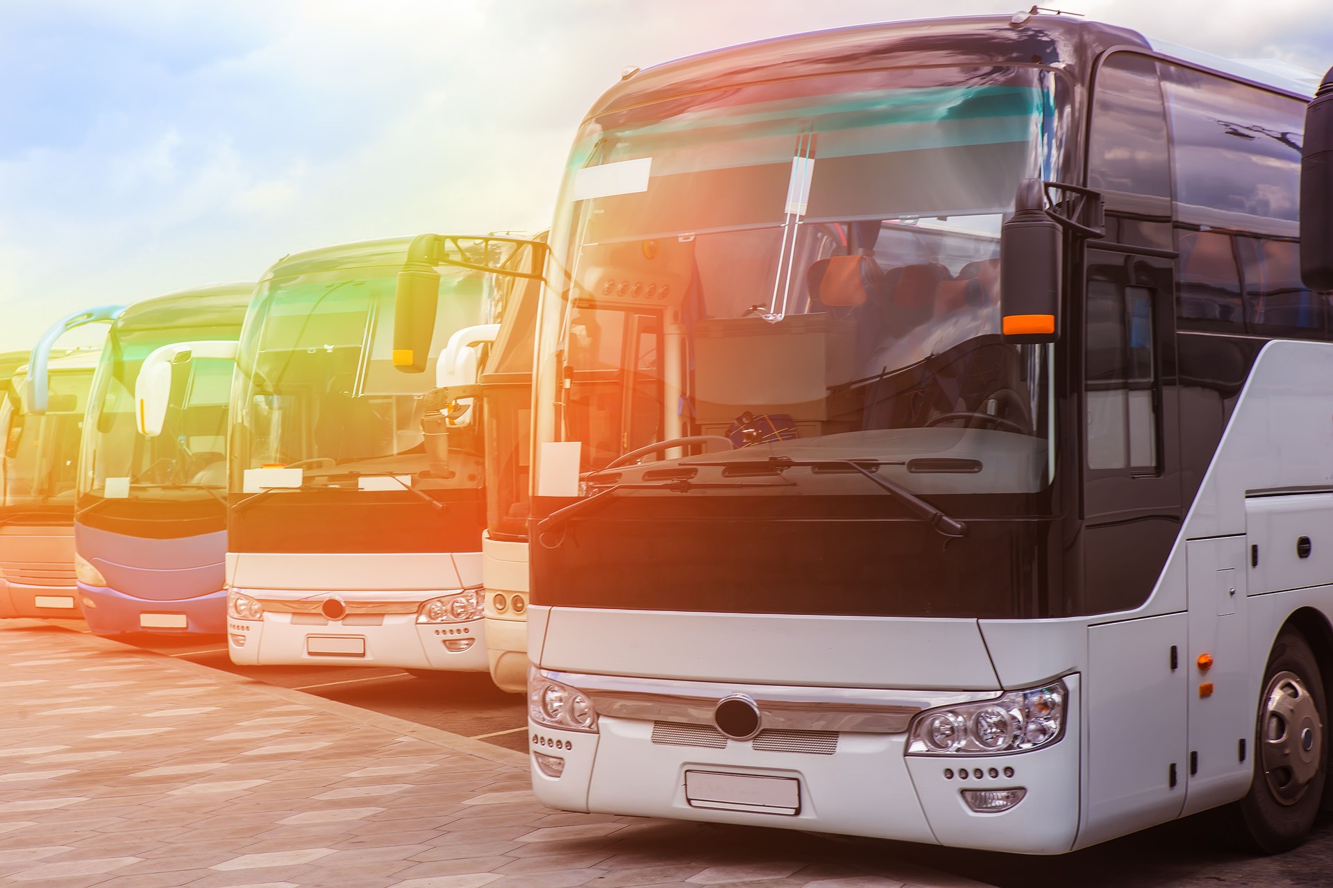 tourist buses on parking